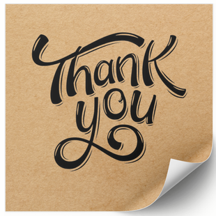 Етикетка крафт 100x100 мм &laquo;Thank You 07&raquo; (100 шт/рулон) самоклеюча 100100brownThankYou07 фото